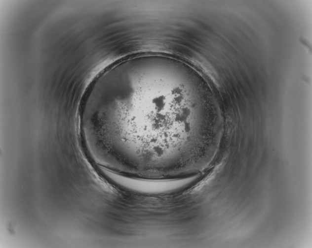 X0000097301125200802151432