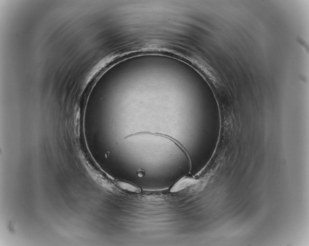 X0000097301126200802151432