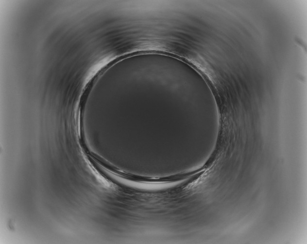 X0000097301127200802151432