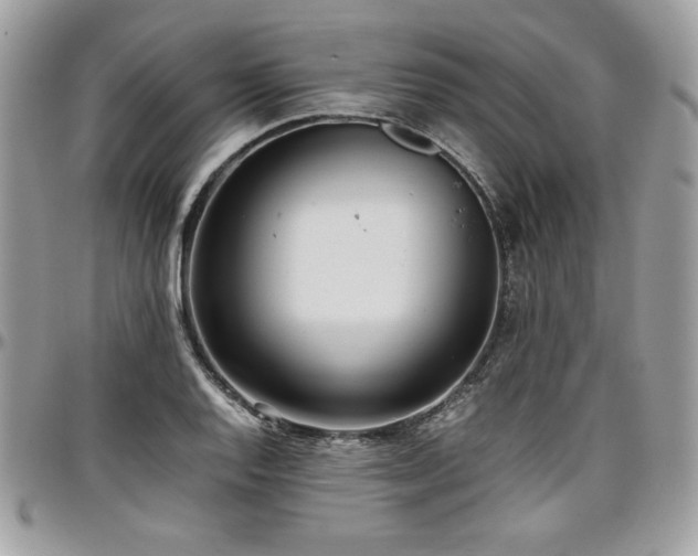 X0000097301128200802151432