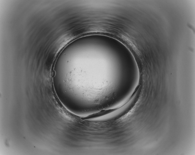 X0000097301129200802151432