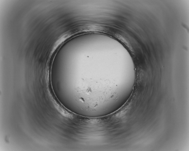 X0000097301130200802151432