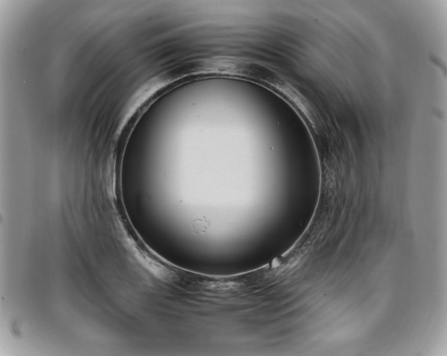 X0000097301131200802151432