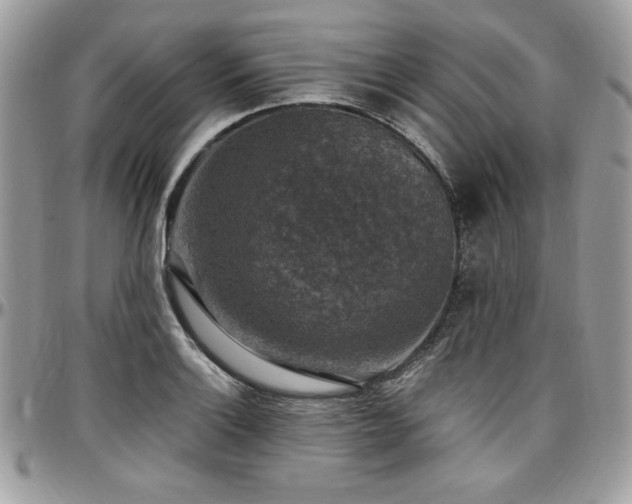 X0000097301132200802151432