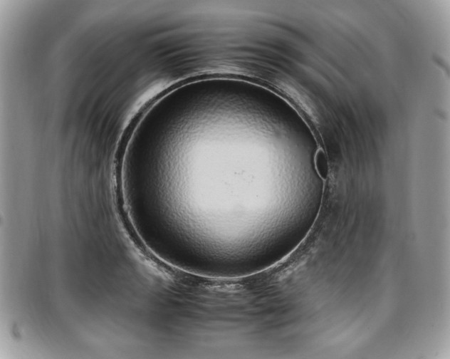 X0000097301133200802151432