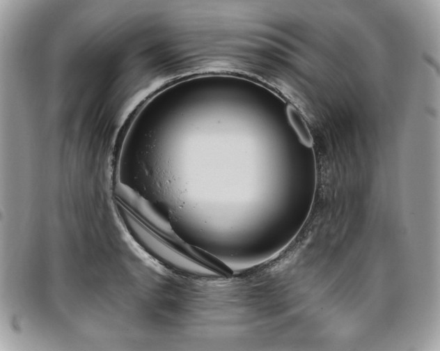 X0000097301134200802151432