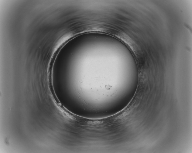 X0000097301135200802151432