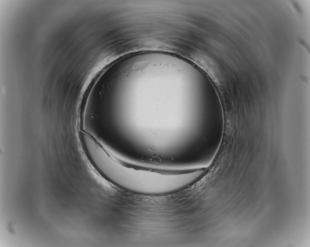 X0000097301136200802151432