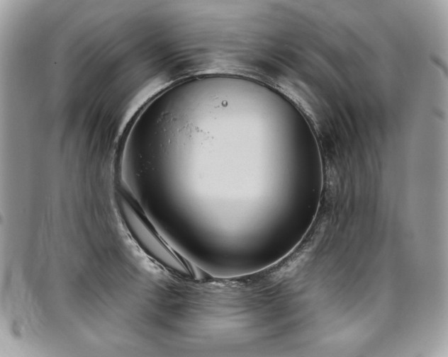 X0000097301138200802151432