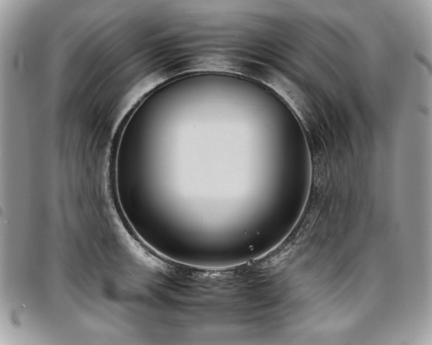 X0000097301139200802151432