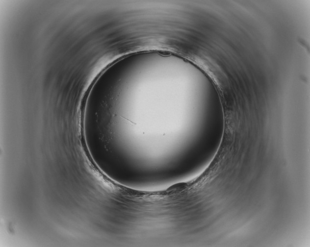 X0000097301140200802151432