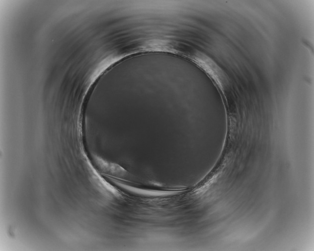 X0000097301141200802151432