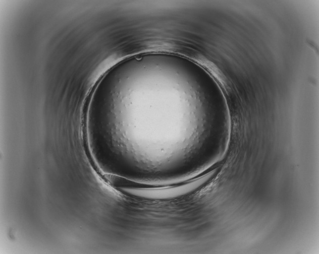 X0000097301143200802151432