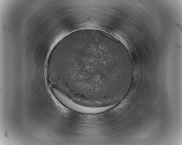 X0000097301144200802151432
