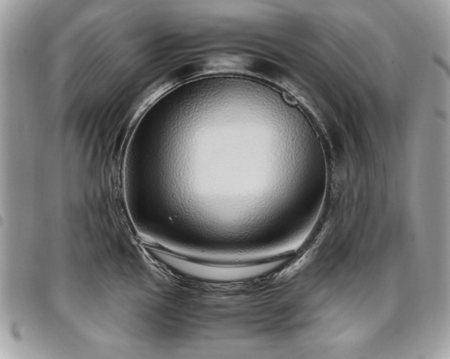 X0000097301145200802151432
