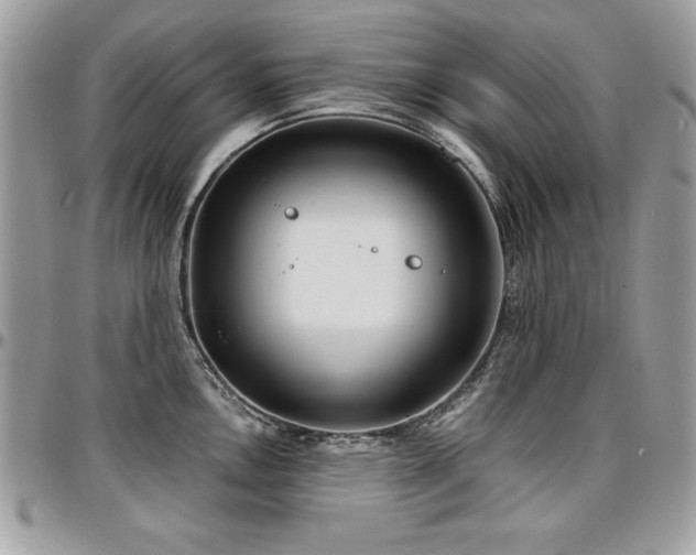 X0000097301146200802151432