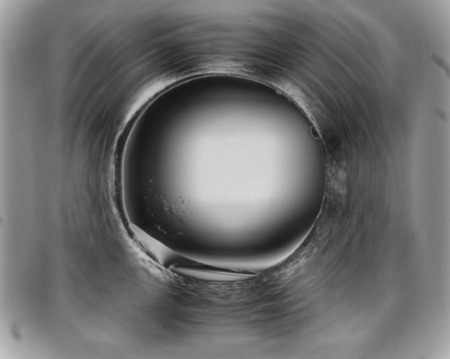 X0000097301147200802151432
