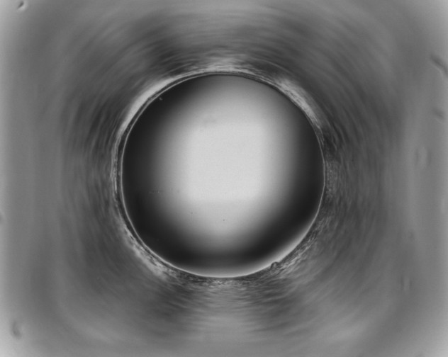X0000097301148200802151432
