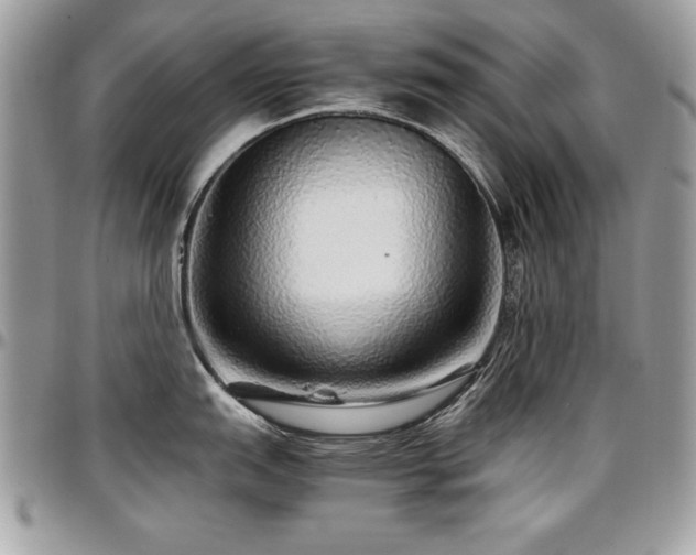 X0000097301151200802151432