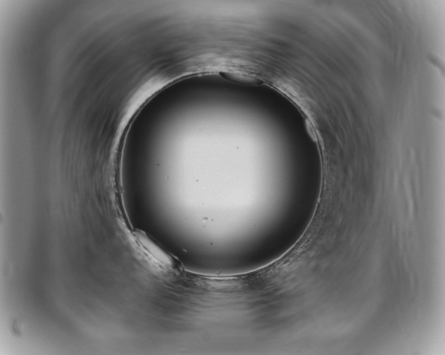 X0000097301152200802151432