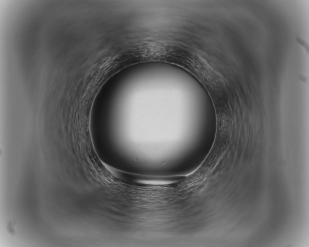 X0000097301153200802151432