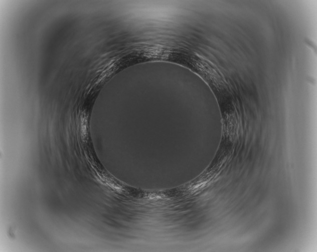 X0000097301154200802151432