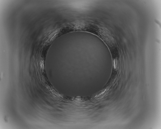 X0000097301155200802151432