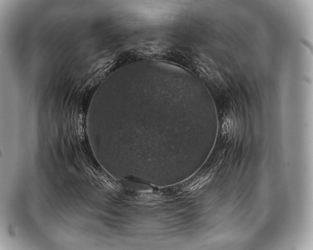 X0000097301156200802151432