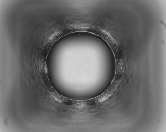 X0000097301157200802151432