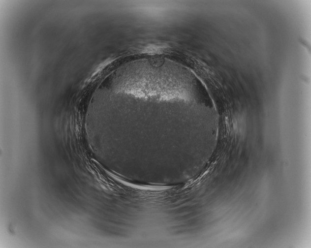X0000097301158200802151432