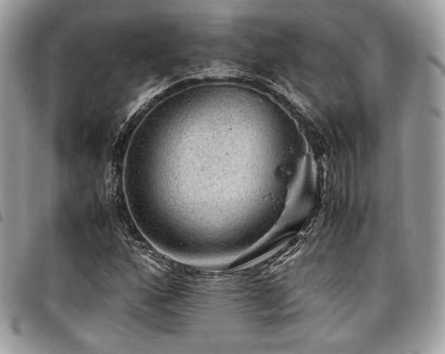X0000097301160200802151432