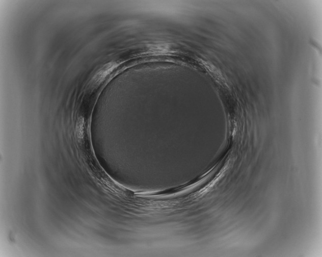 X0000097301161200802151431