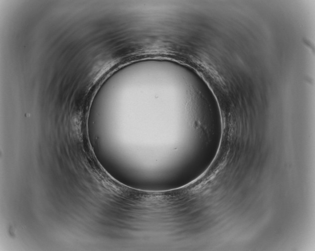 X0000097301162200802151431