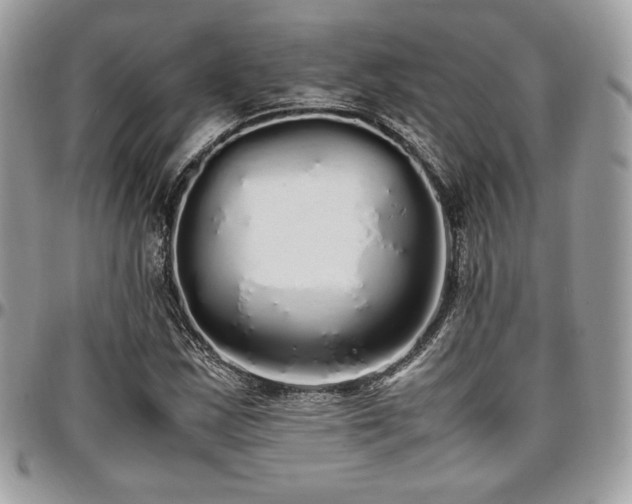 X0000097301163200802151431
