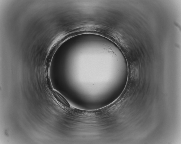 X0000097301164200802151431