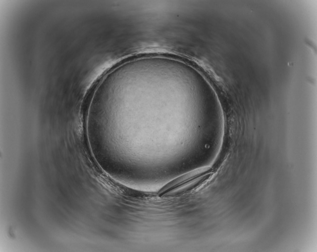 X0000097301167200802151431