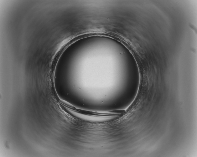 X0000097301168200802151431