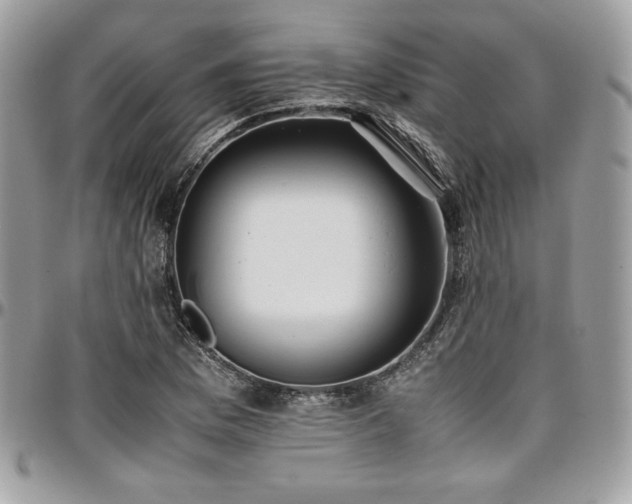 X0000097301169200802151431