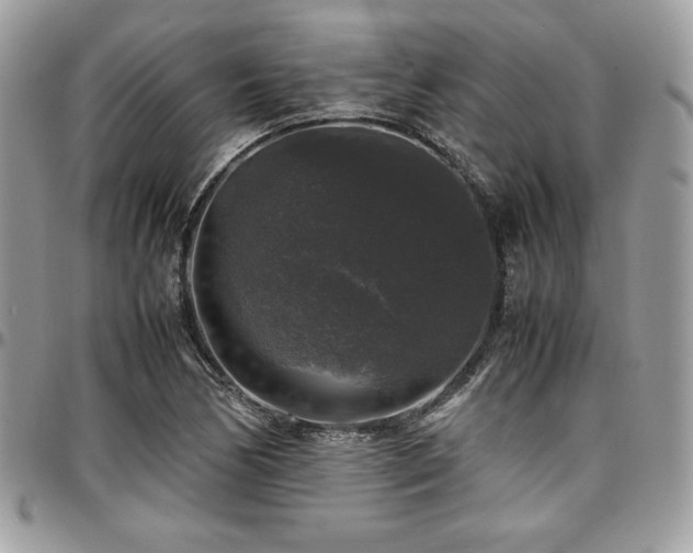 X0000097301170200802151431