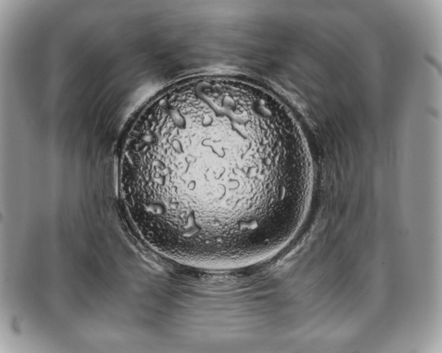X0000097301171200802151431