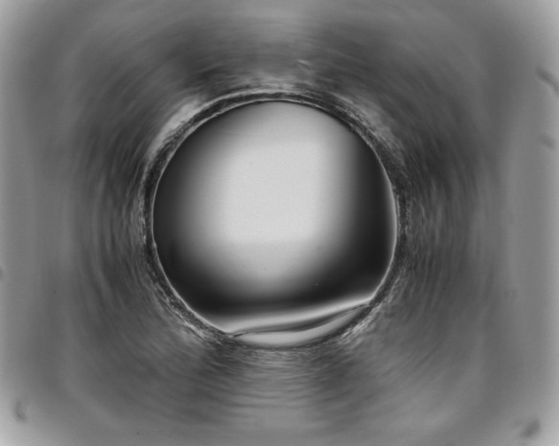 X0000097301172200802151431