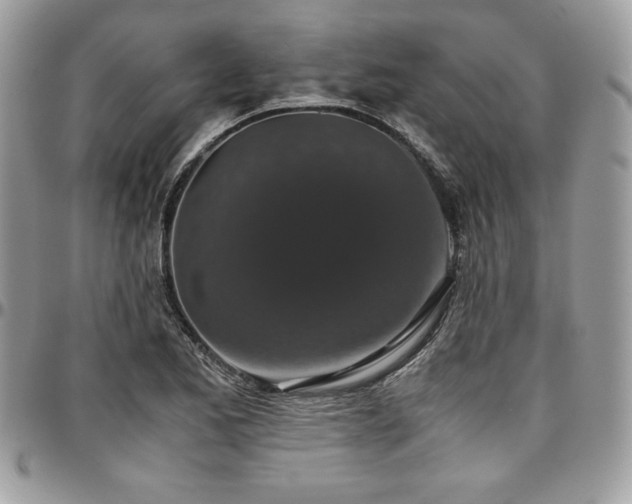 X0000097301173200802151431