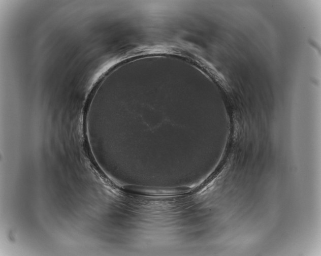 X0000097301174200802151431