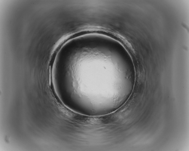 X0000097301175200802151431