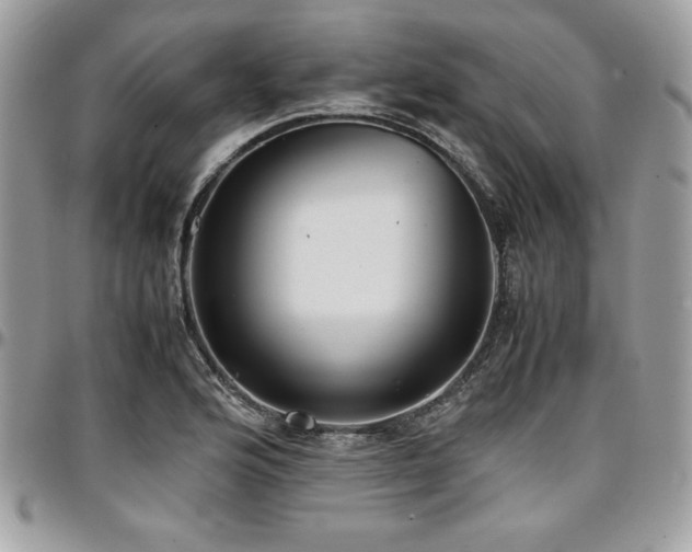 X0000097301176200802151431