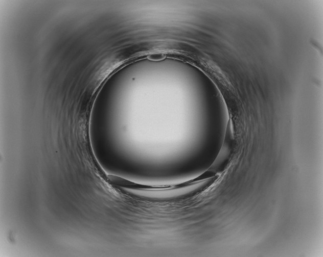 X0000097301177200802151431