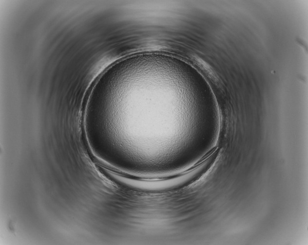 X0000097301178200802151431