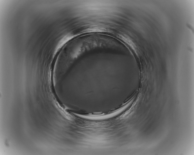 X0000097301179200802151431