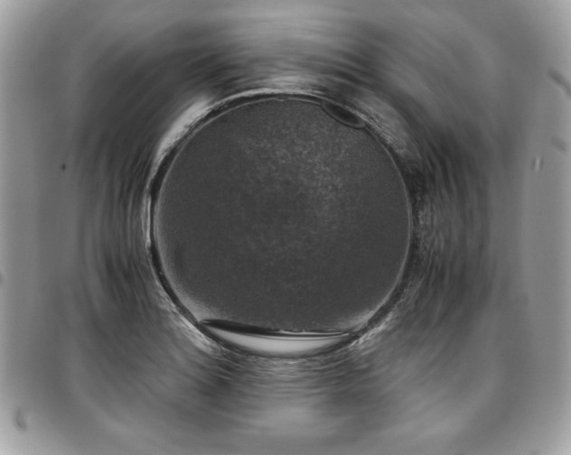 X0000097301180200802151431