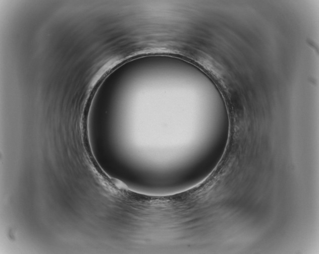 X0000097301181200802151431